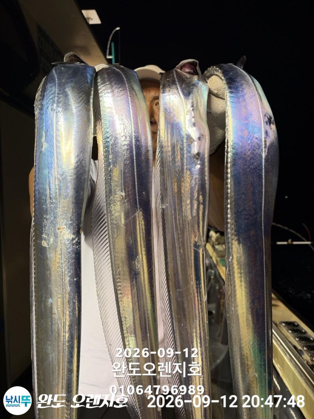 낚시뚜,갈치,완도항,완도 오렌지호,낚시뚜24