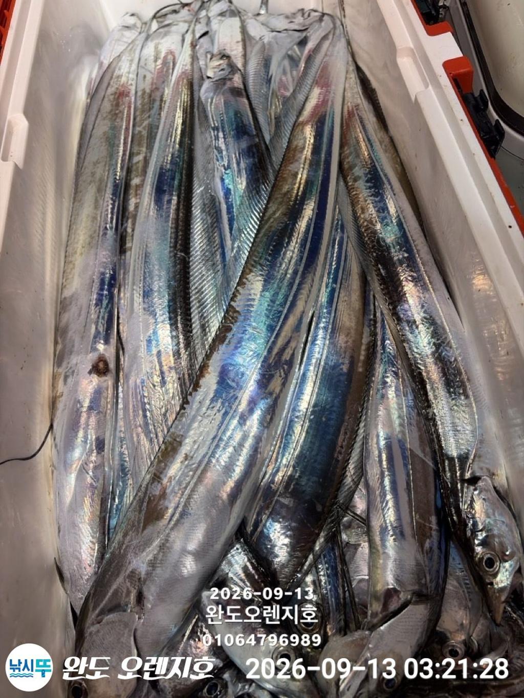 낚시뚜,갈치,완도항,완도 오렌지호,낚시뚜21