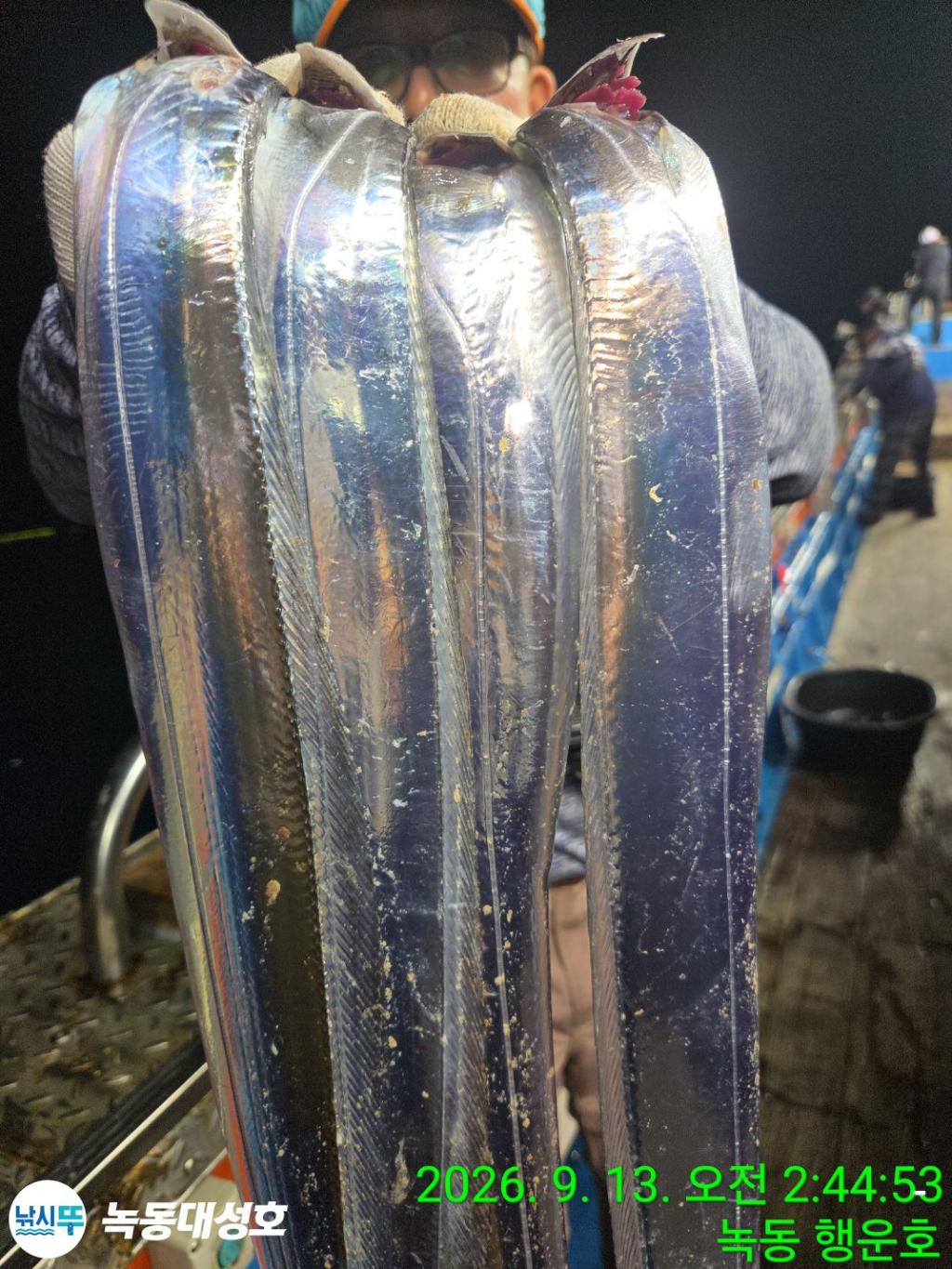 낚시뚜,갈치,녹동항,녹동대성호,낚시뚜6