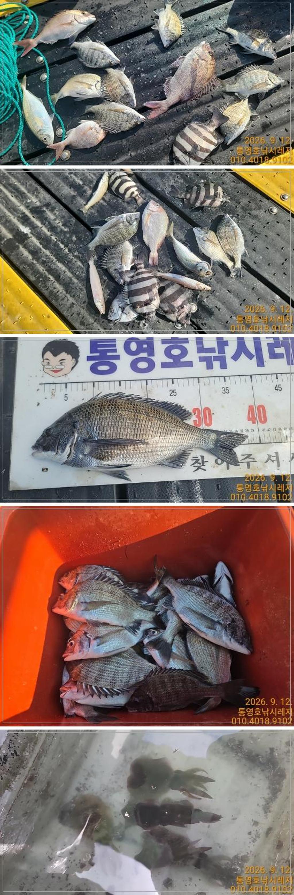 낚시뚜,감성돔,풍화수월선착장,통영호 낚시레져,낚시뚜1