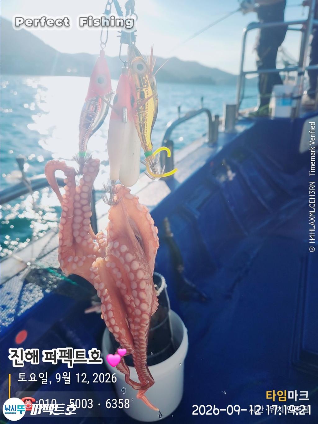 낚시뚜,돌문어,진해 수치마을 방파제,퍼펙트호,낚시뚜12