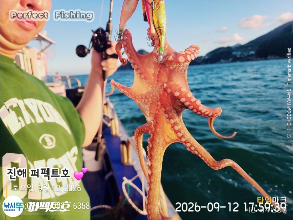 낚시뚜,돌문어,진해 수치마을 방파제,퍼펙트호,낚시뚜10