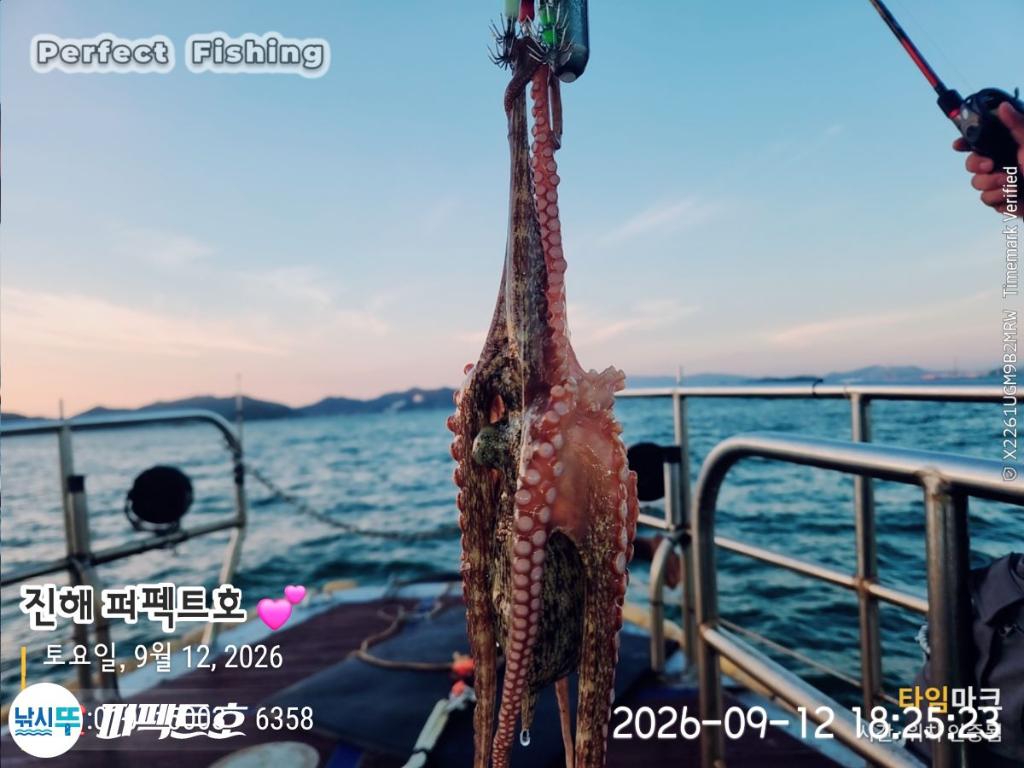 낚시뚜,돌문어,진해 수치마을 방파제,퍼펙트호,낚시뚜9