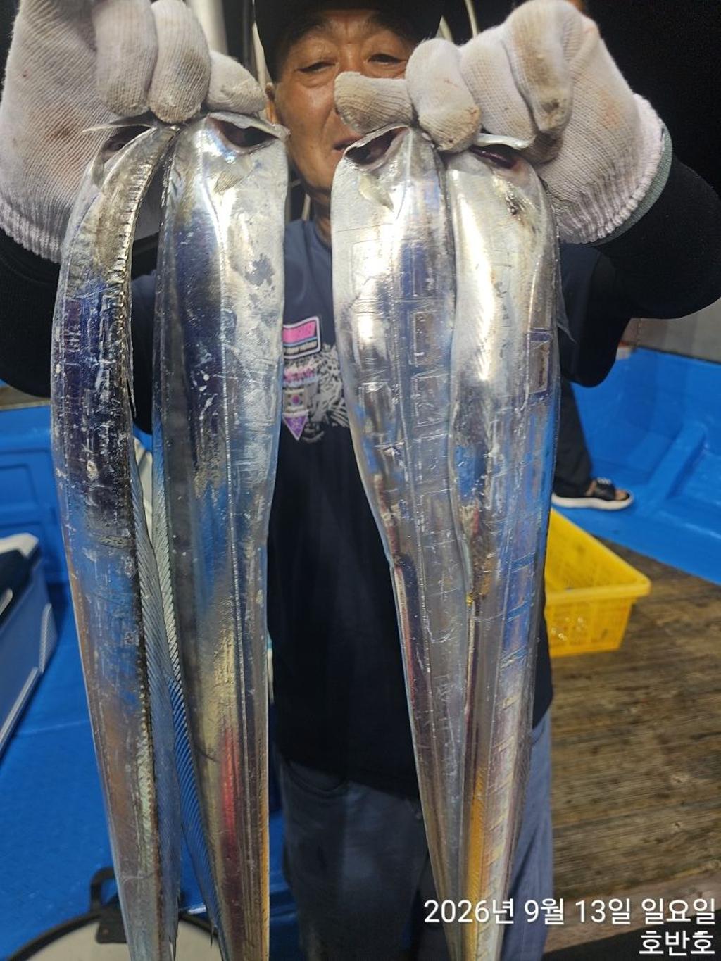 낚시뚜,갈치,통영 신전항,통영호반호,낚시뚜5