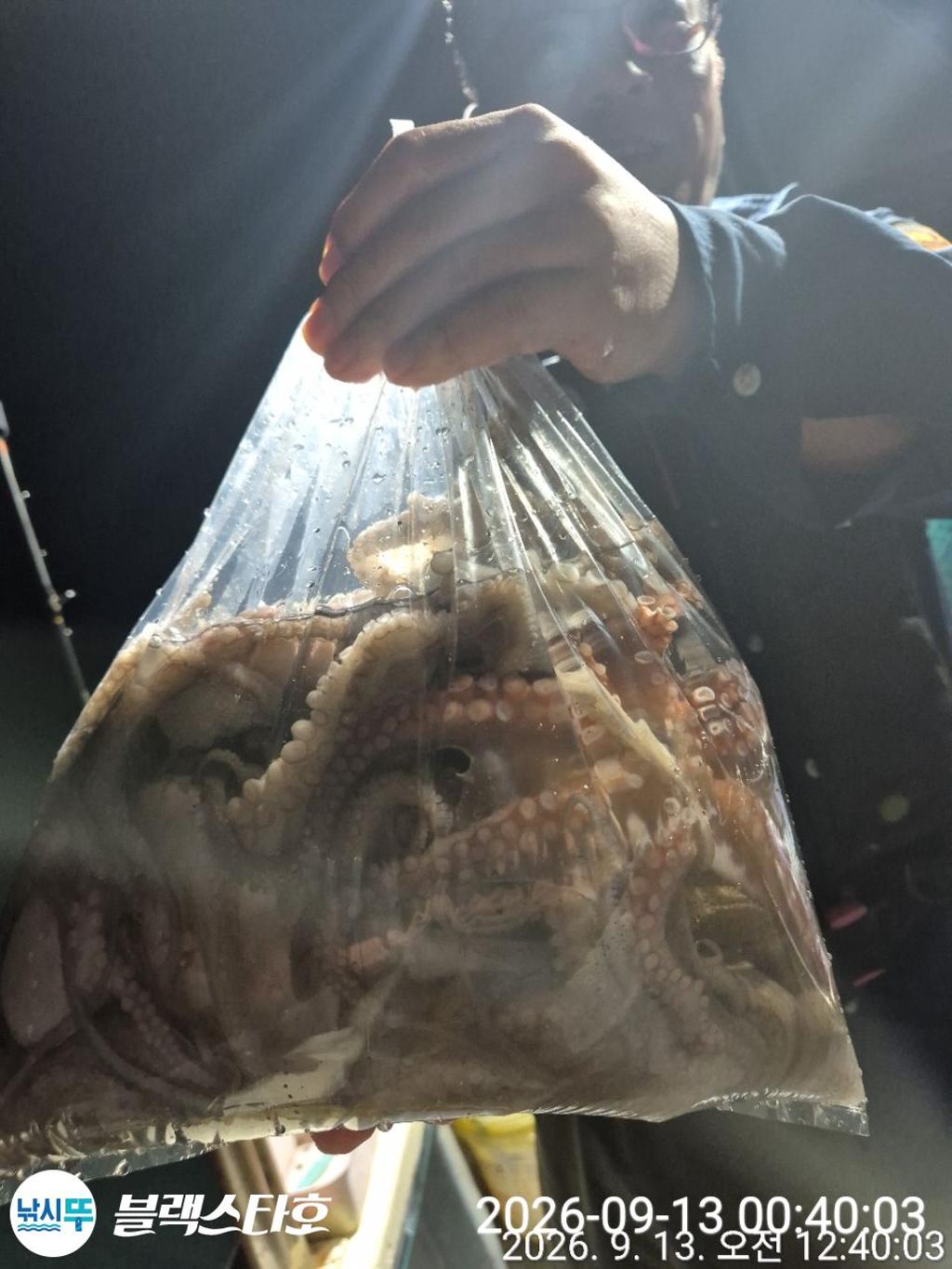 낚시뚜,돌문어,삼천포 팔포항,삼천포 블랙스타,낚시뚜0