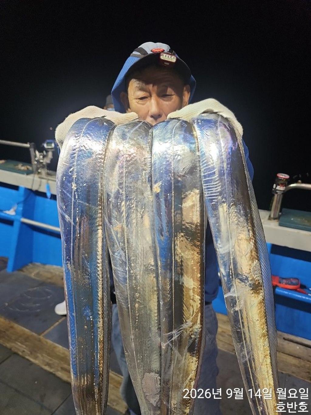 낚시뚜,갈치,통영 신전항,통영호반호,낚시뚜13