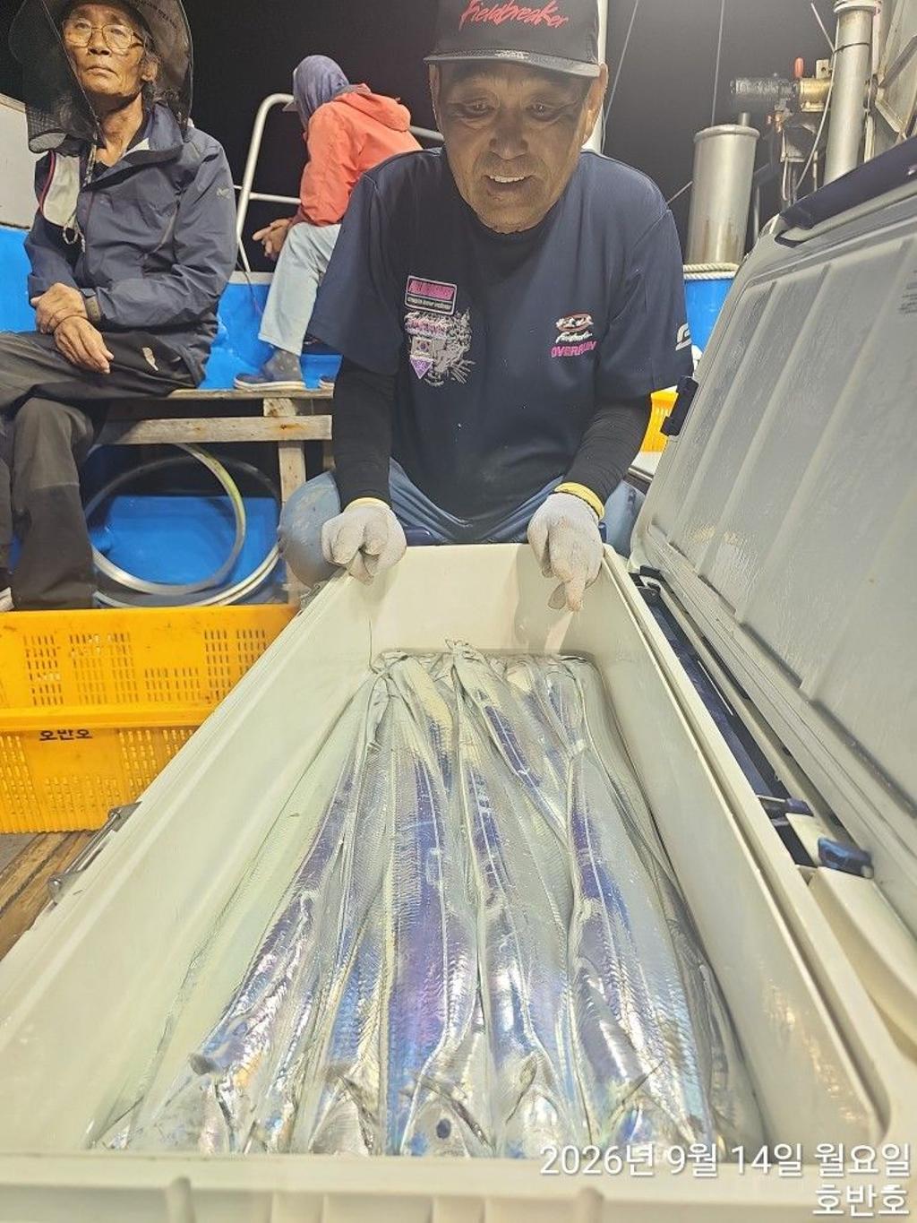 낚시뚜,갈치,통영 신전항,통영호반호,낚시뚜2