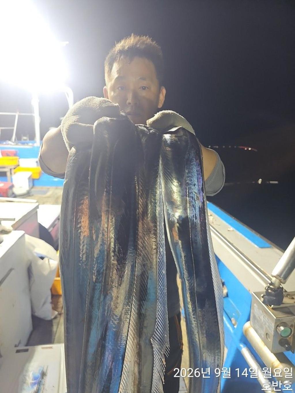 낚시뚜,갈치,통영 신전항,통영호반호,낚시뚜3