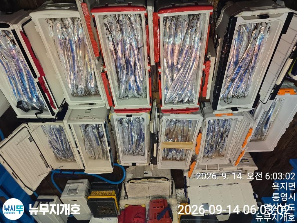 낚시뚜,갈치,통영영운리항,뉴무지개호,낚시뚜21