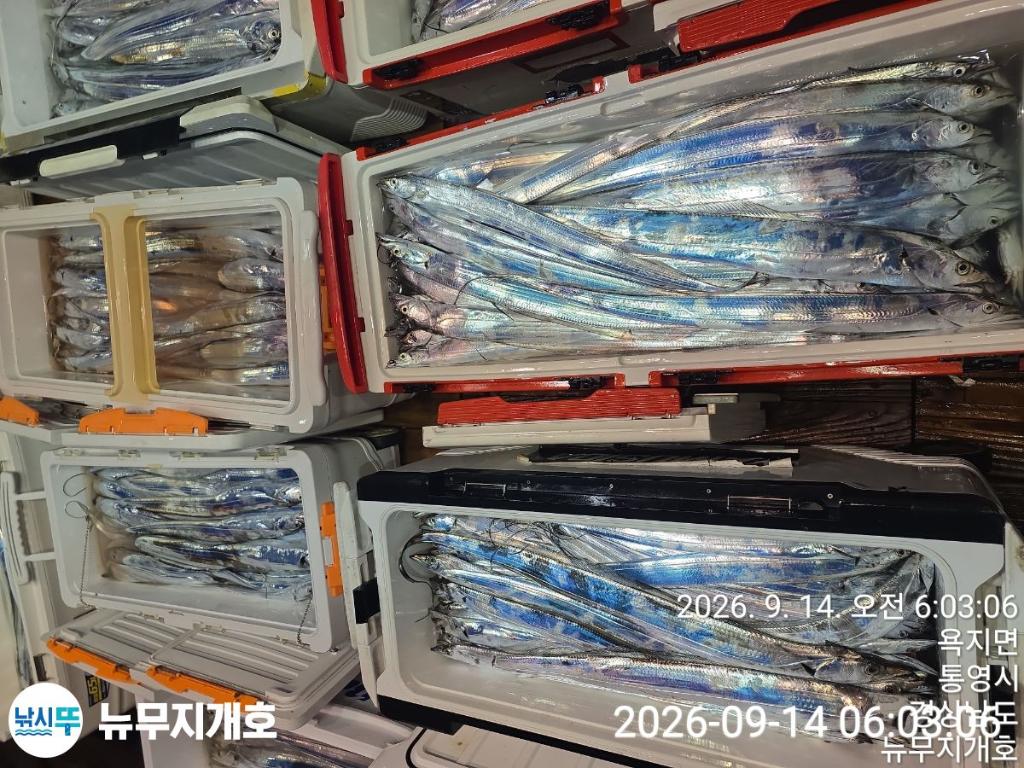 낚시뚜,갈치,통영영운리항,뉴무지개호,낚시뚜17