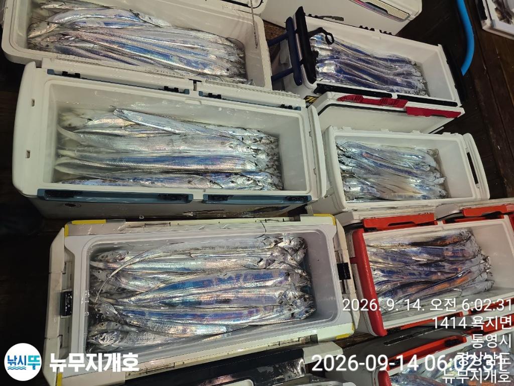 낚시뚜,갈치,통영영운리항,뉴무지개호,낚시뚜14