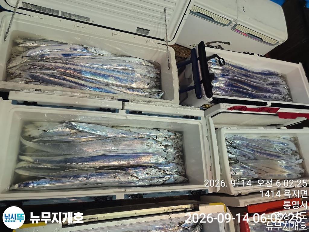 낚시뚜,갈치,통영영운리항,뉴무지개호,낚시뚜13