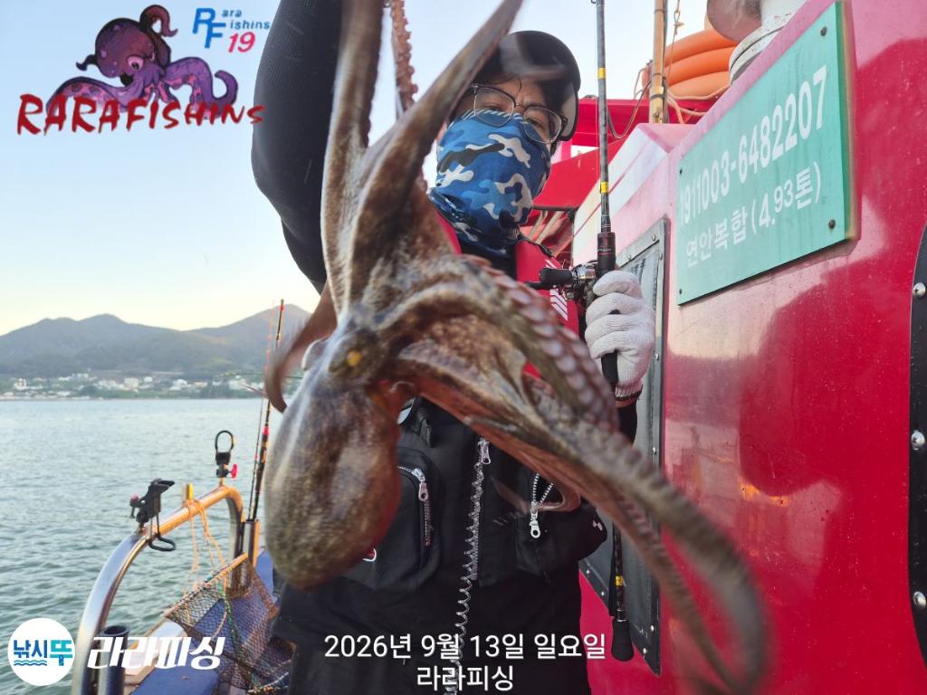 낚시뚜,돌문어,속천항(진해),라라피싱,낚시뚜5