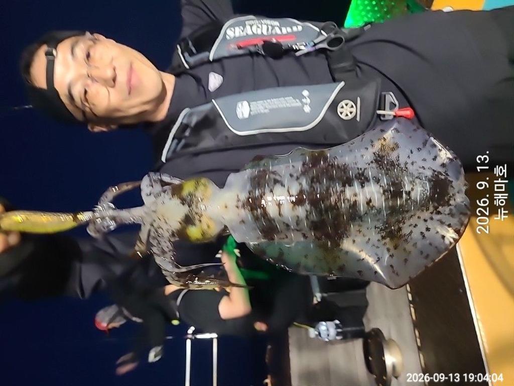 낚시뚜,무늬오징어,영일만항,뉴해마호,낚시뚜7