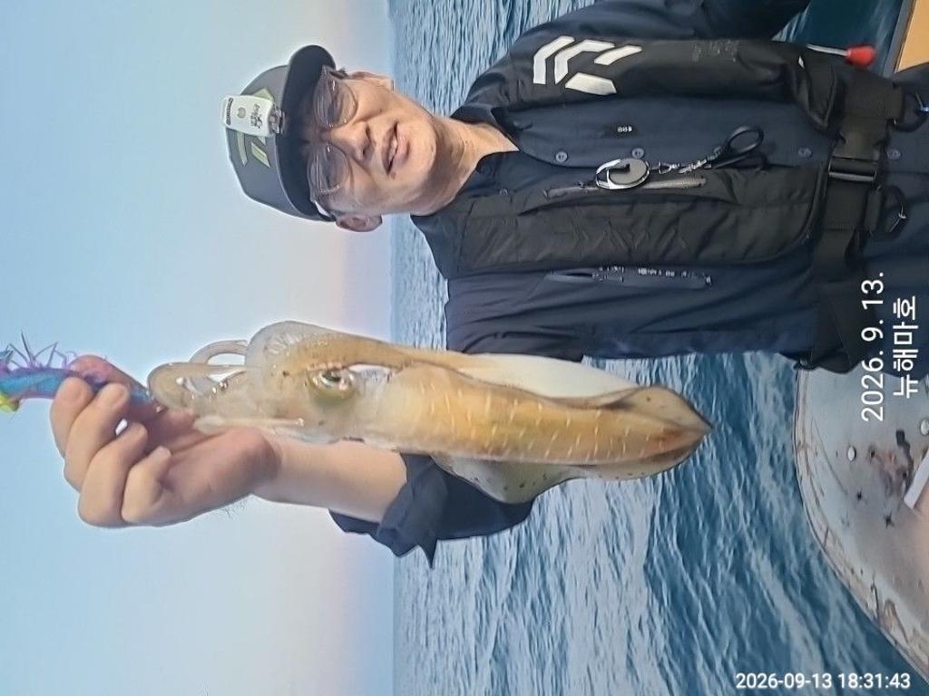 낚시뚜,무늬오징어,영일만항,뉴해마호,낚시뚜4