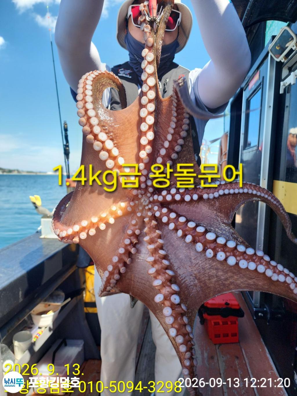낚시뚜,돌문어,영일만항,포항 킹덤호,낚시뚜36
