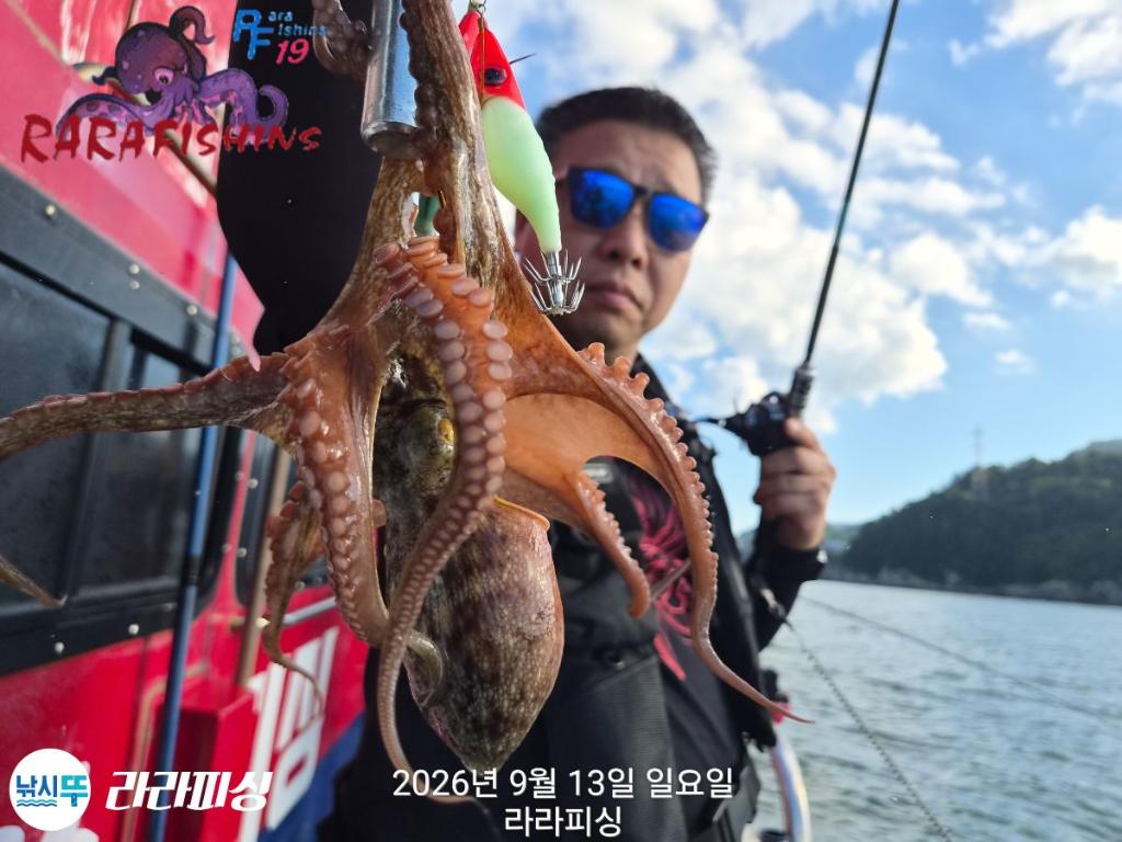낚시뚜,돌문어,속천항(진해),라라피싱,낚시뚜8