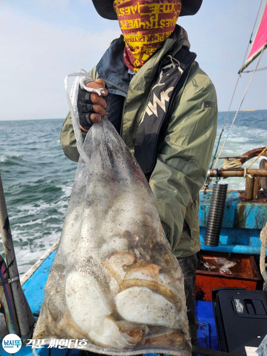 낚시뚜,갑오징어,격포,격포 씨헌터호,낚시뚜6