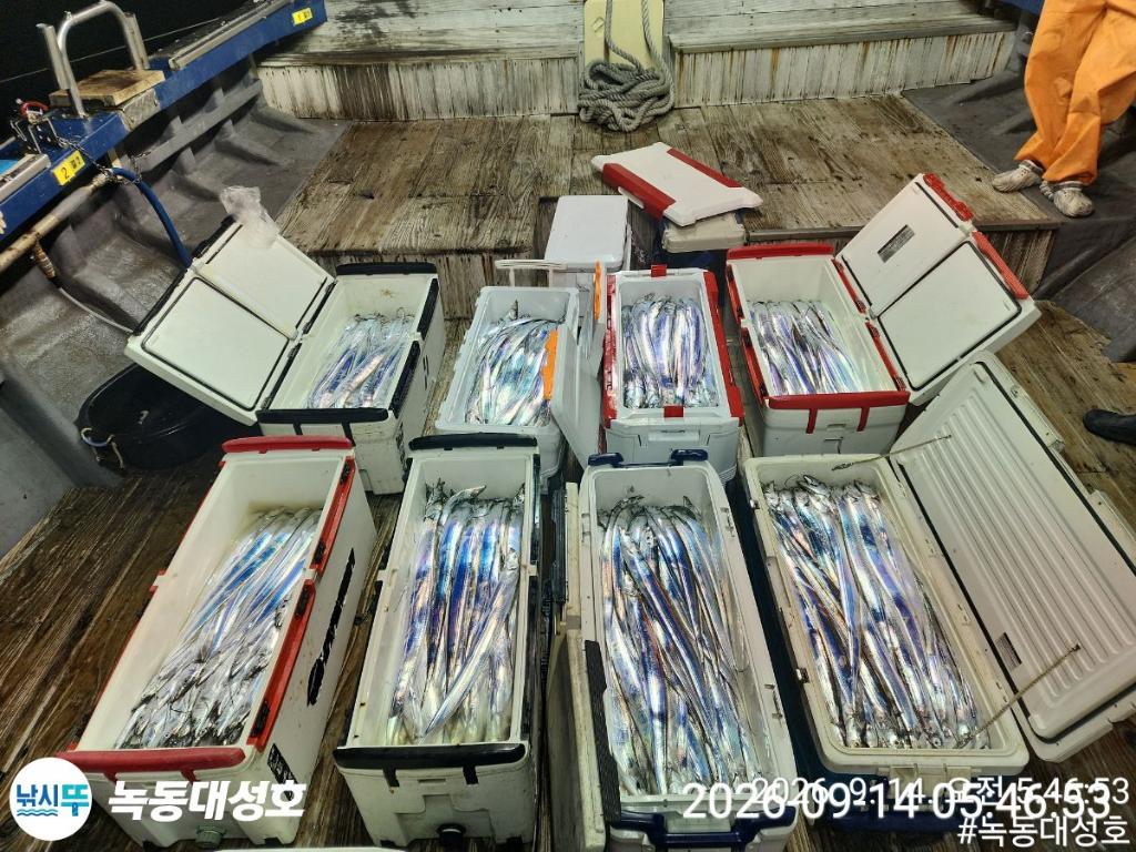 낚시뚜,갈치,녹동항,녹동대성호,낚시뚜58