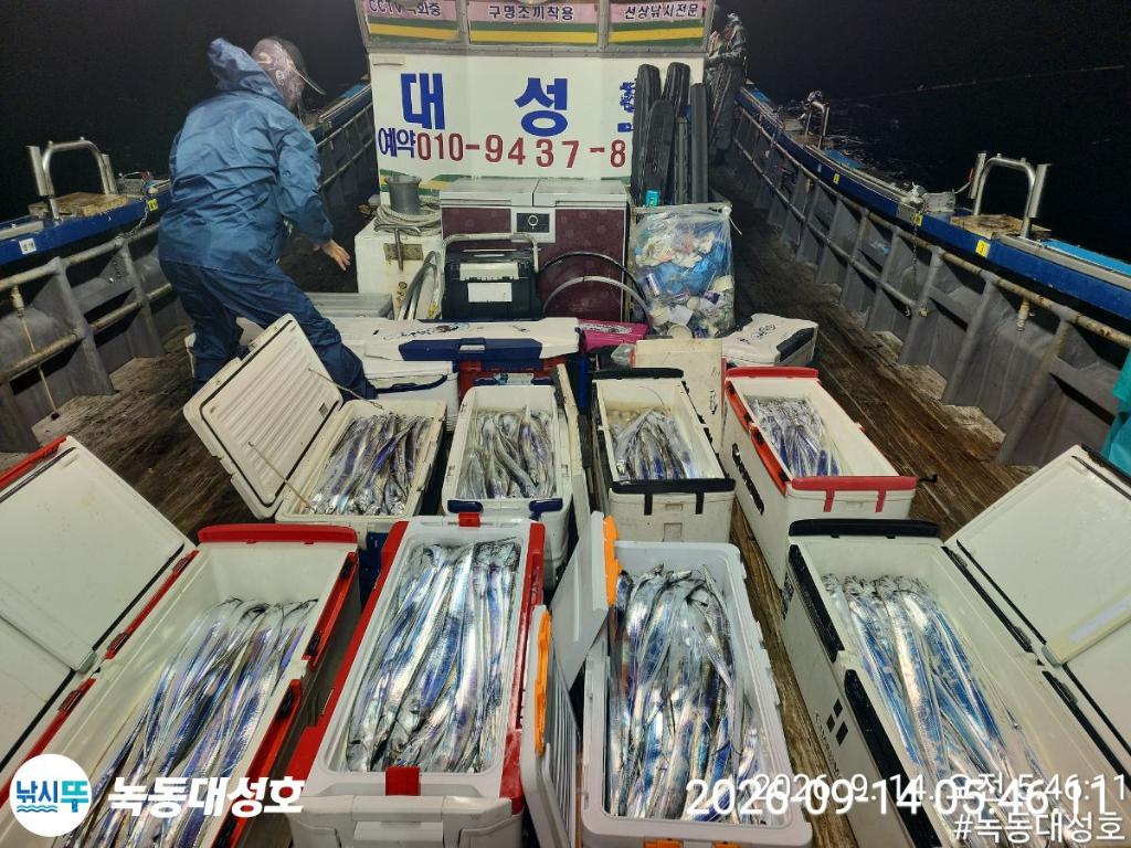 낚시뚜,갈치,녹동항,녹동대성호,낚시뚜51