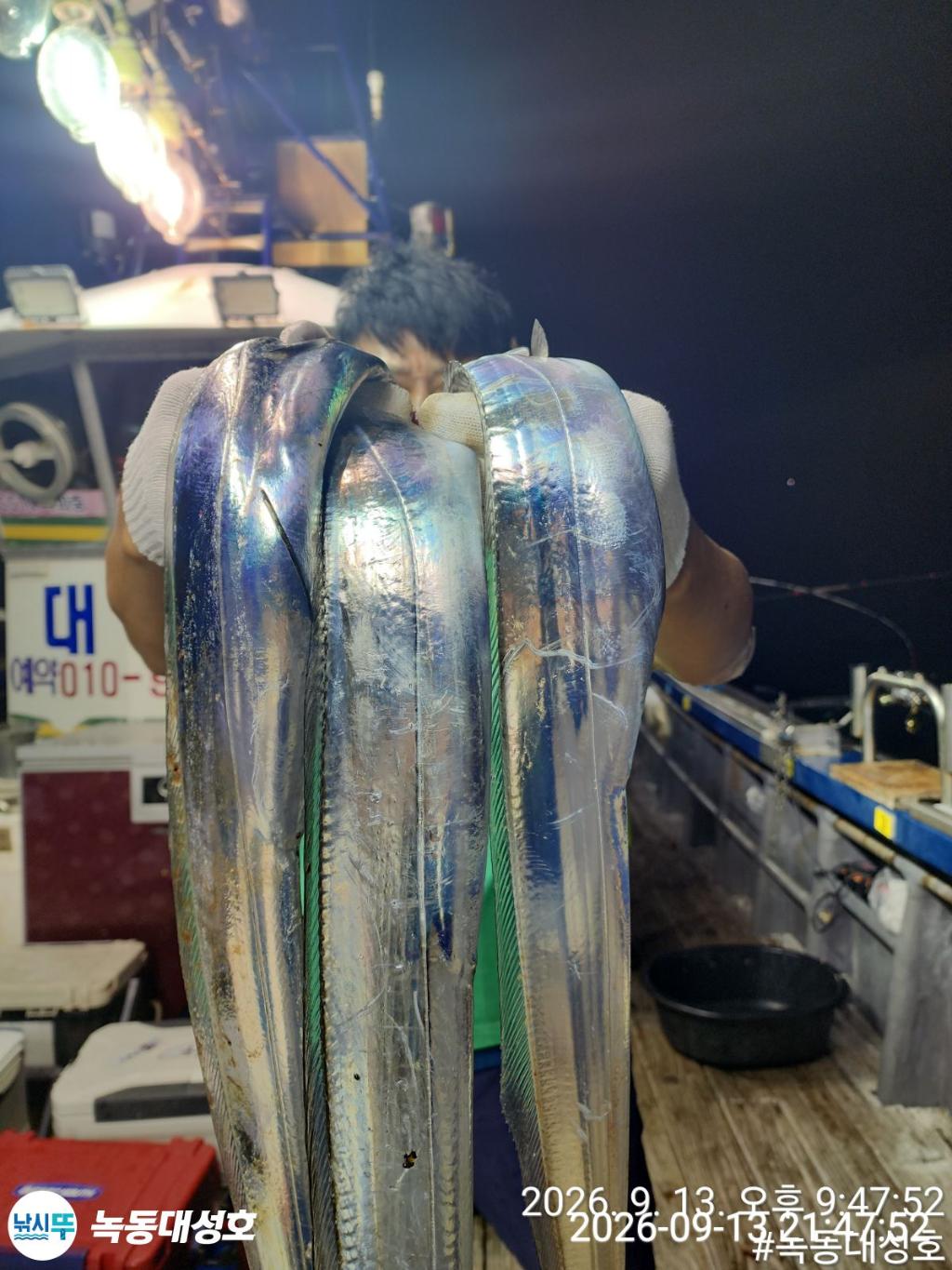 낚시뚜,갈치,녹동항,녹동대성호,낚시뚜25
