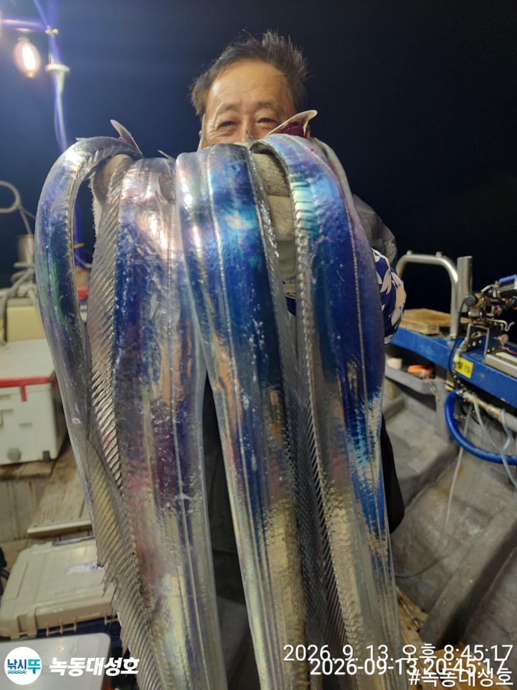 낚시뚜,갈치,녹동항,녹동대성호,낚시뚜14