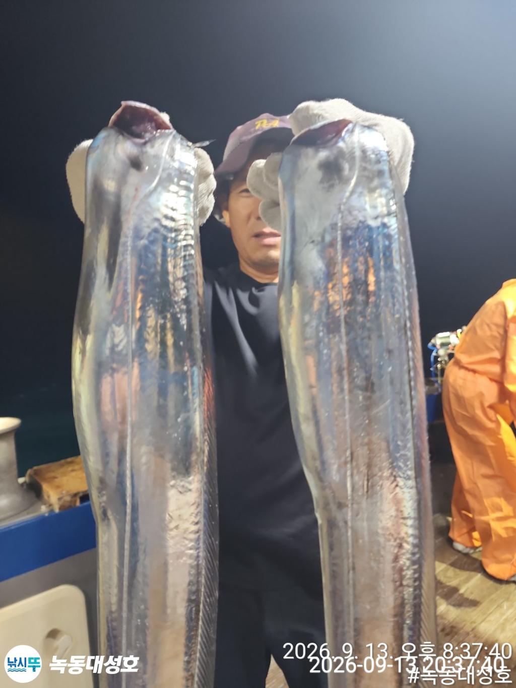 낚시뚜,갈치,녹동항,녹동대성호,낚시뚜13