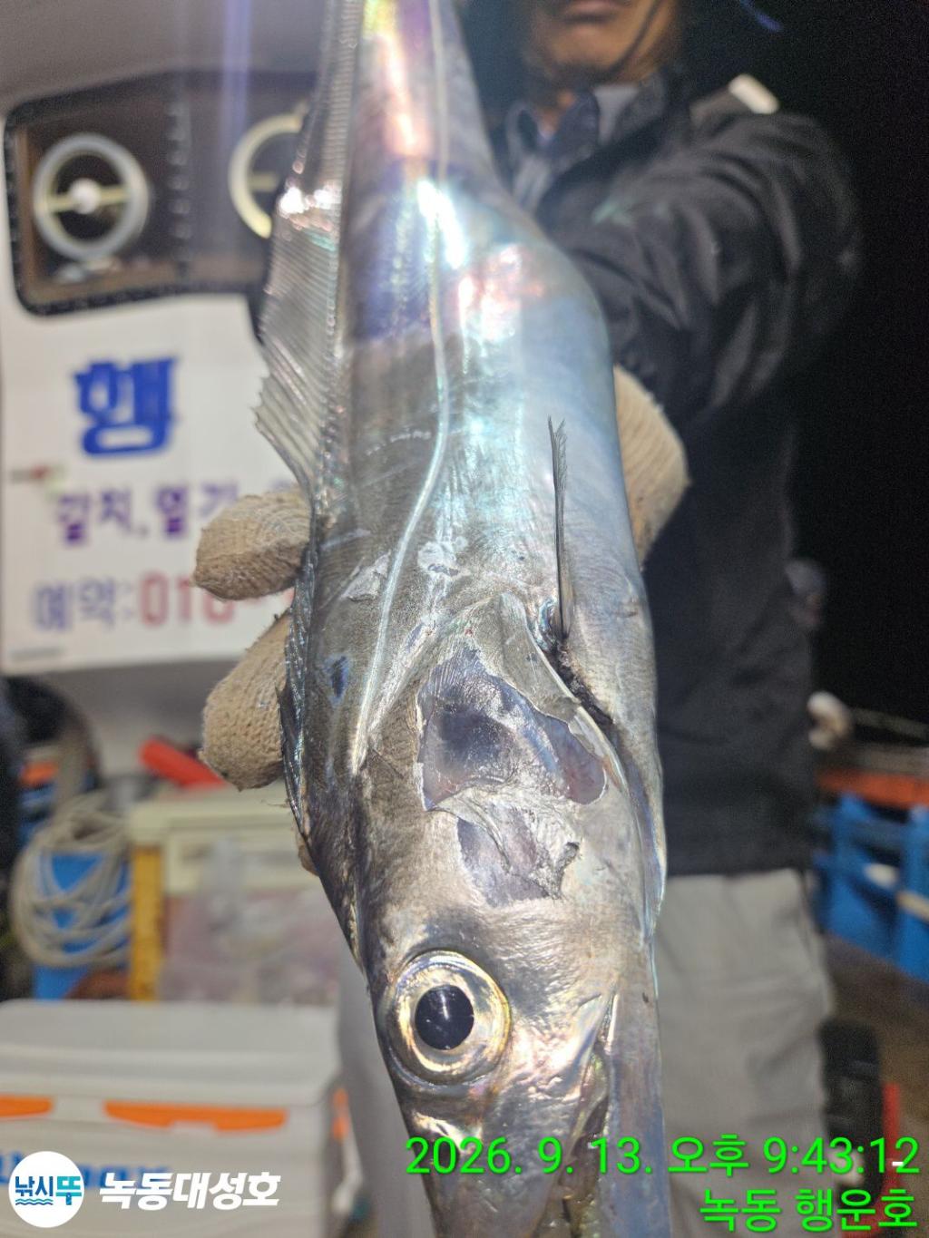 낚시뚜,갈치,녹동항,녹동대성호,낚시뚜4