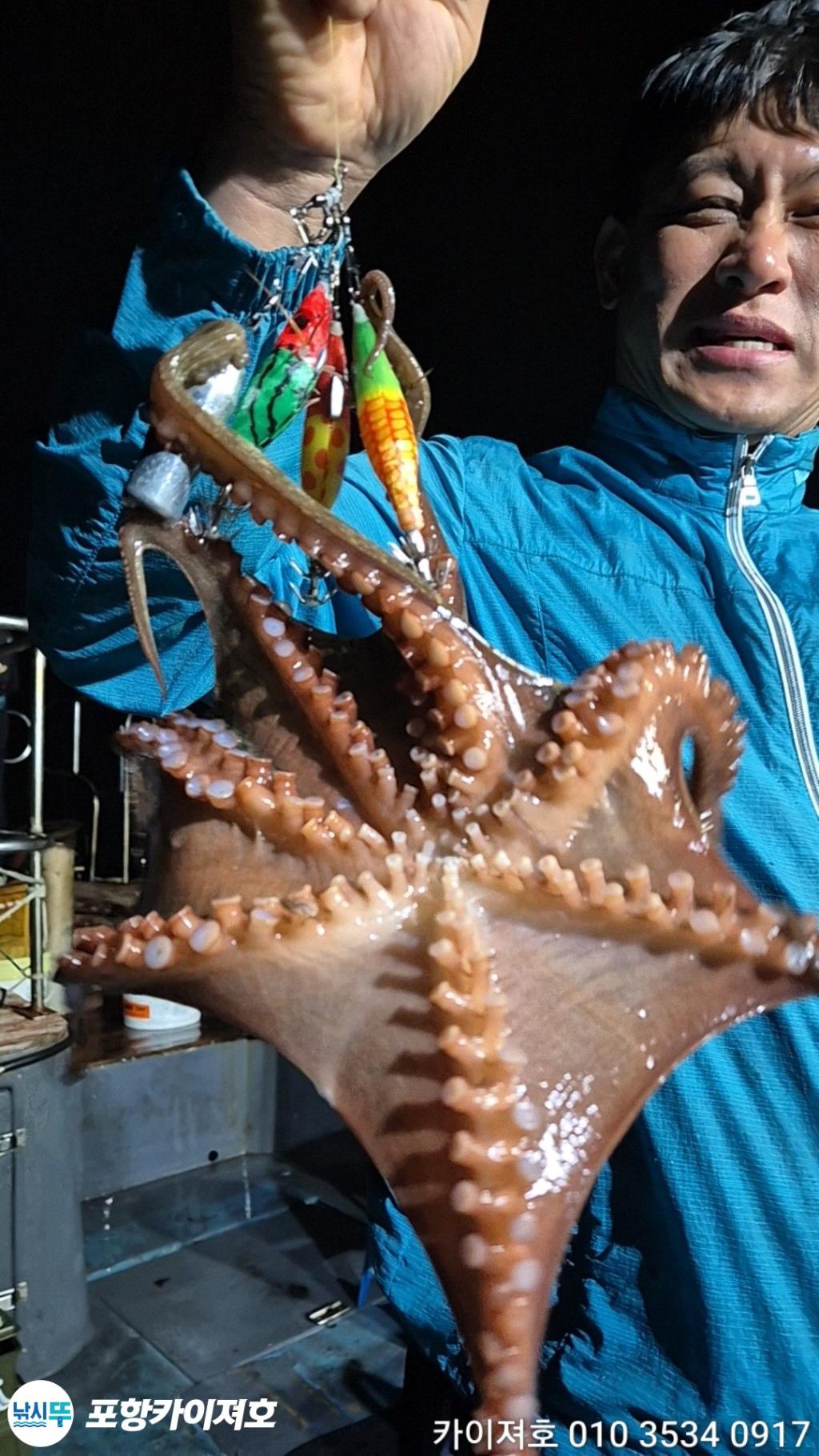 낚시뚜,돌문어,영일만항,포항카이져호,낚시뚜37