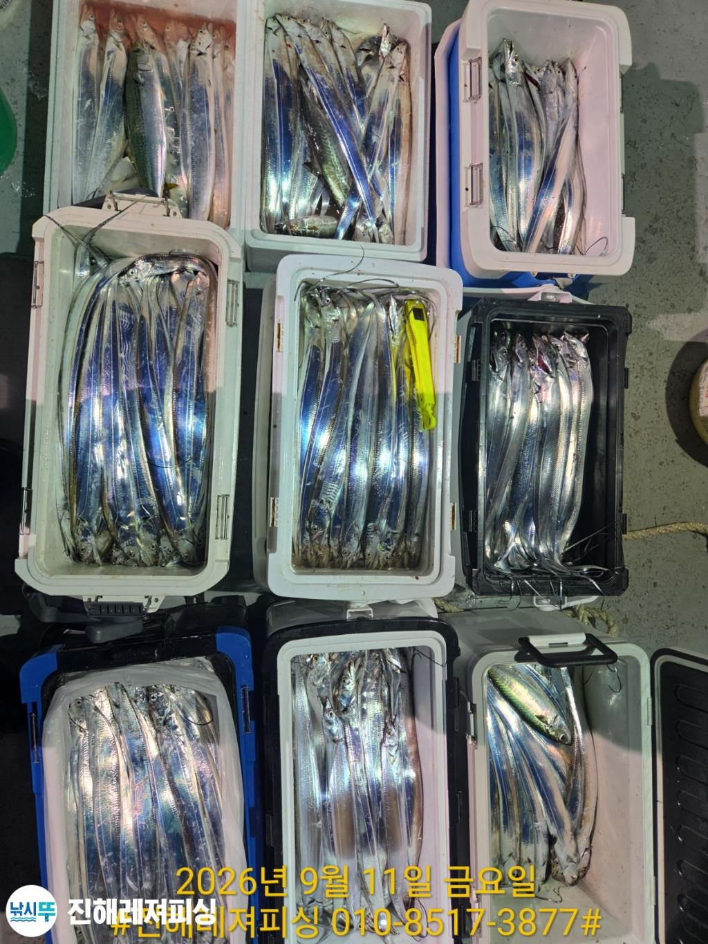 낚시뚜,갈치,진해1부두항,진해레져피싱,낚시뚜26