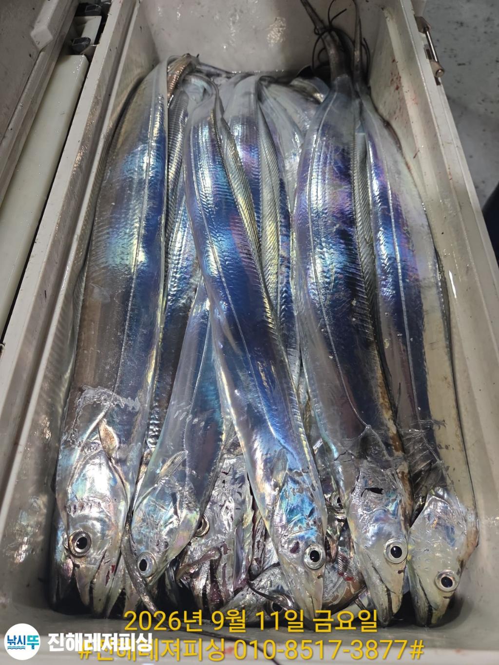 낚시뚜,갈치,진해1부두항,진해레져피싱,낚시뚜16
