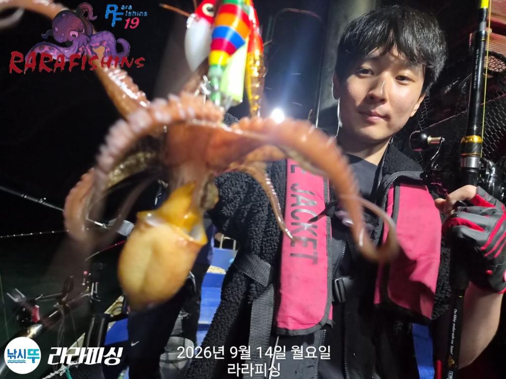 낚시뚜,돌문어,속천항(진해),라라피싱,낚시뚜7