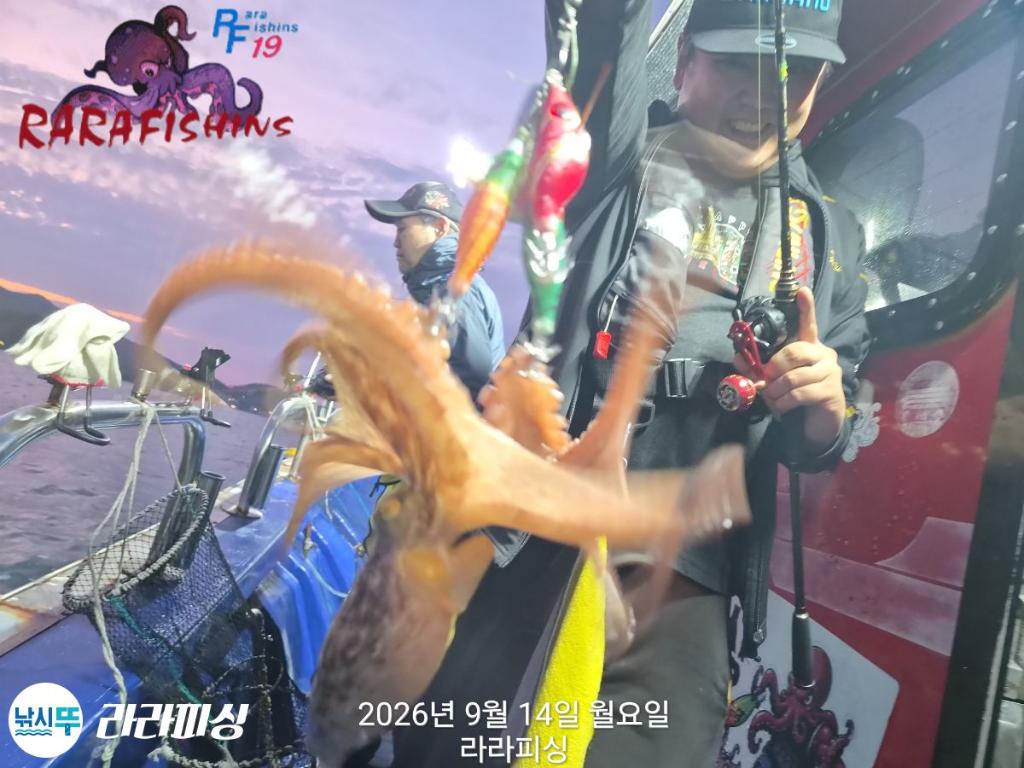 낚시뚜,돌문어,속천항(진해),라라피싱,낚시뚜3