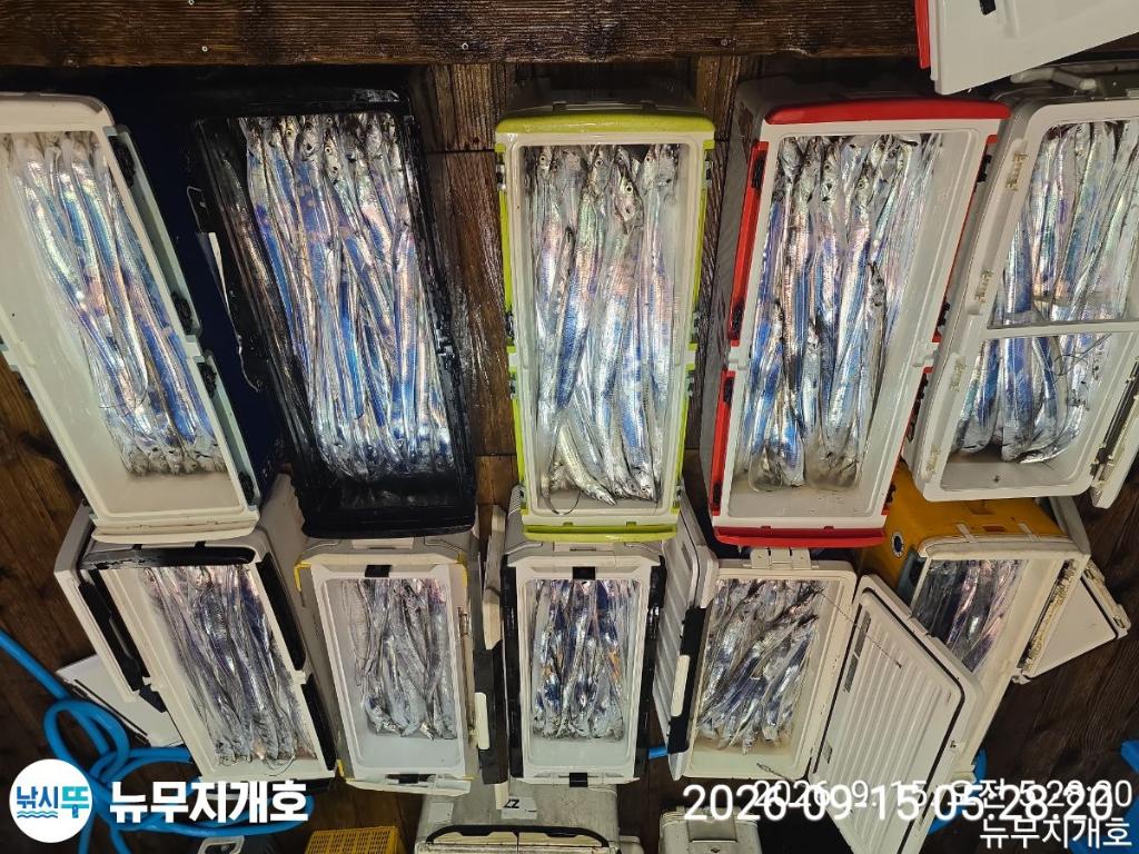 낚시뚜,갈치,통영영운리항,뉴무지개호,낚시뚜18
