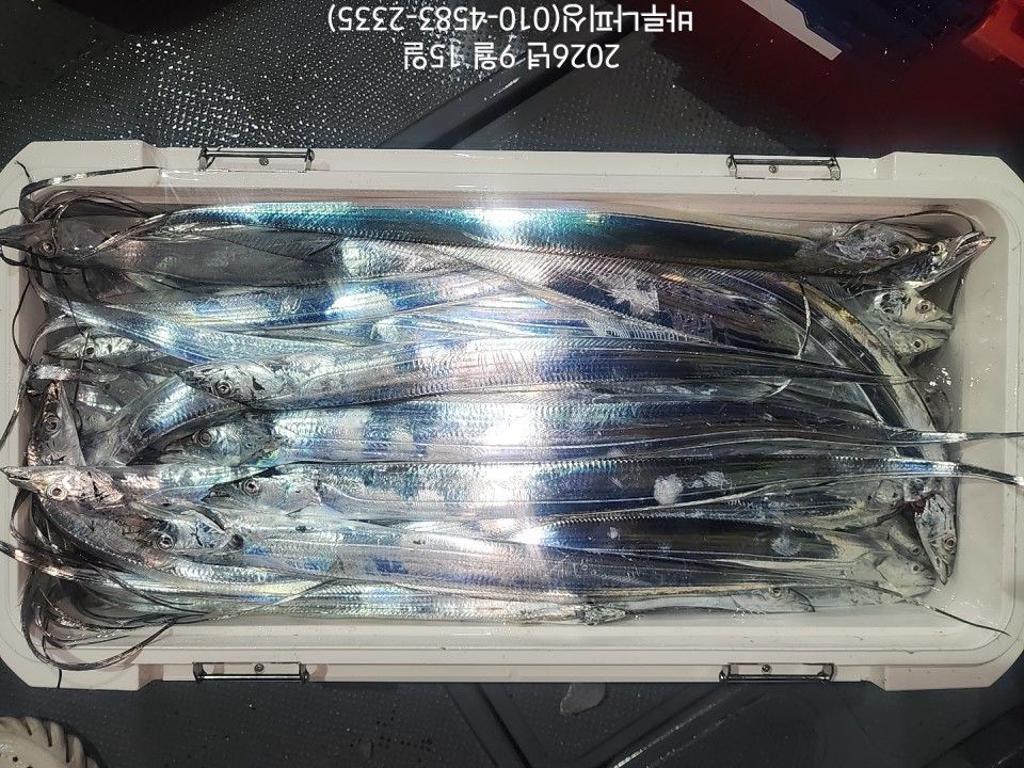낚시뚜,갈치,속천항(진해),바루나피싱,낚시뚜9