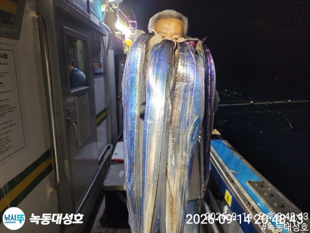 낚시뚜,갈치,녹동항,녹동대성호,낚시뚜33