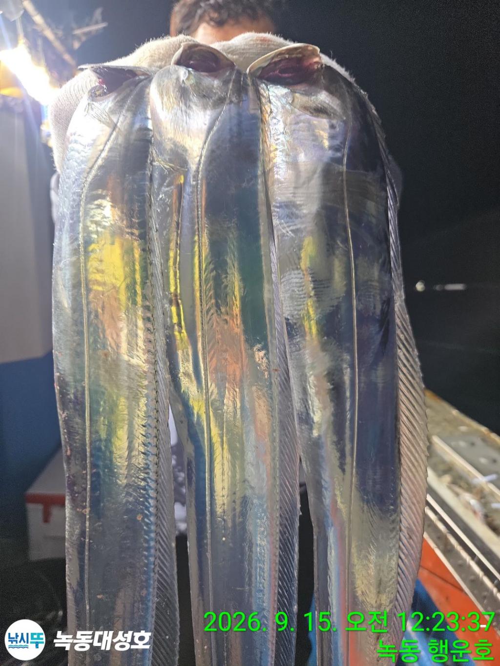 낚시뚜,갈치,녹동항,녹동대성호,낚시뚜23