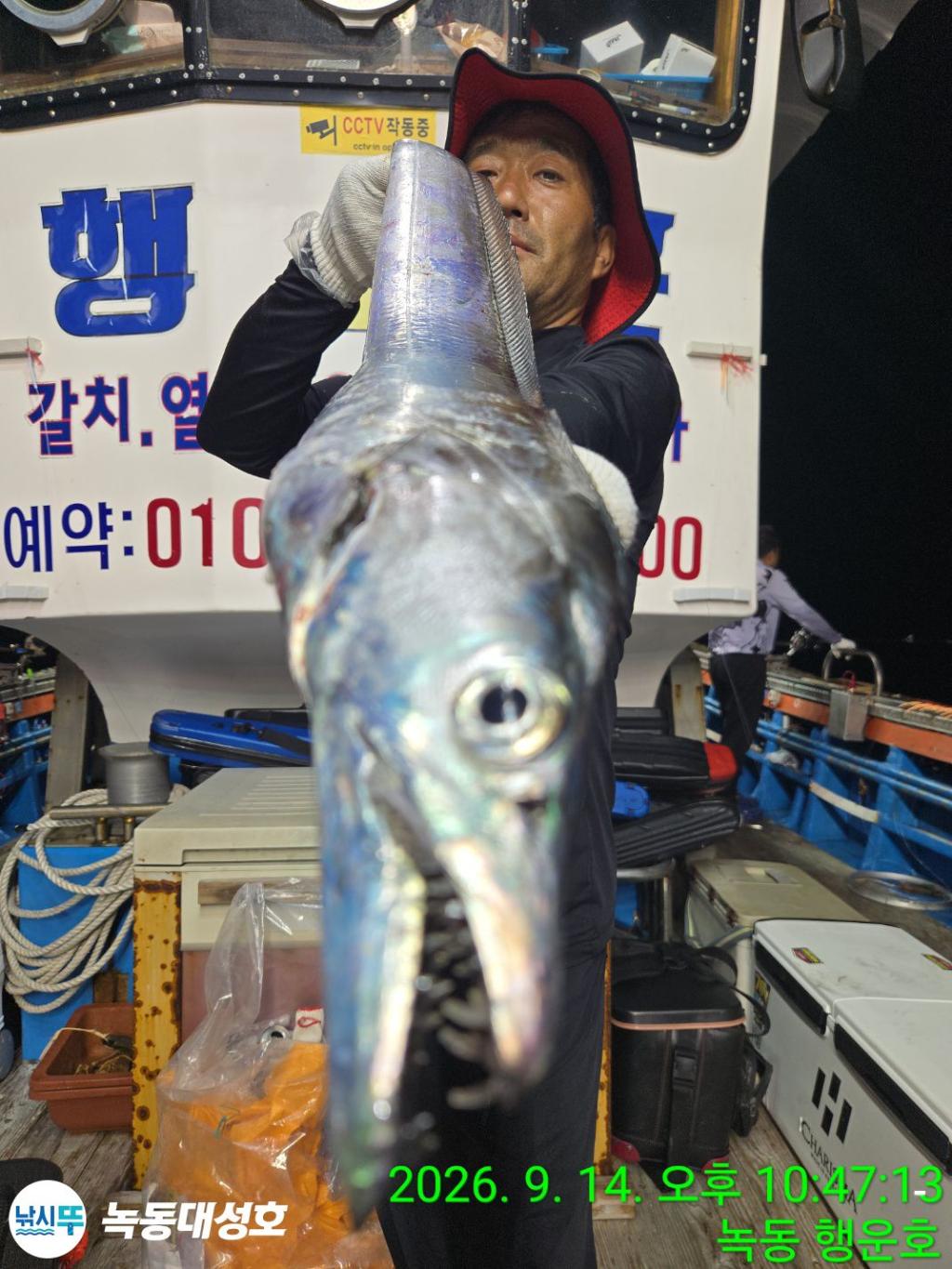 낚시뚜,갈치,녹동항,녹동대성호,낚시뚜17