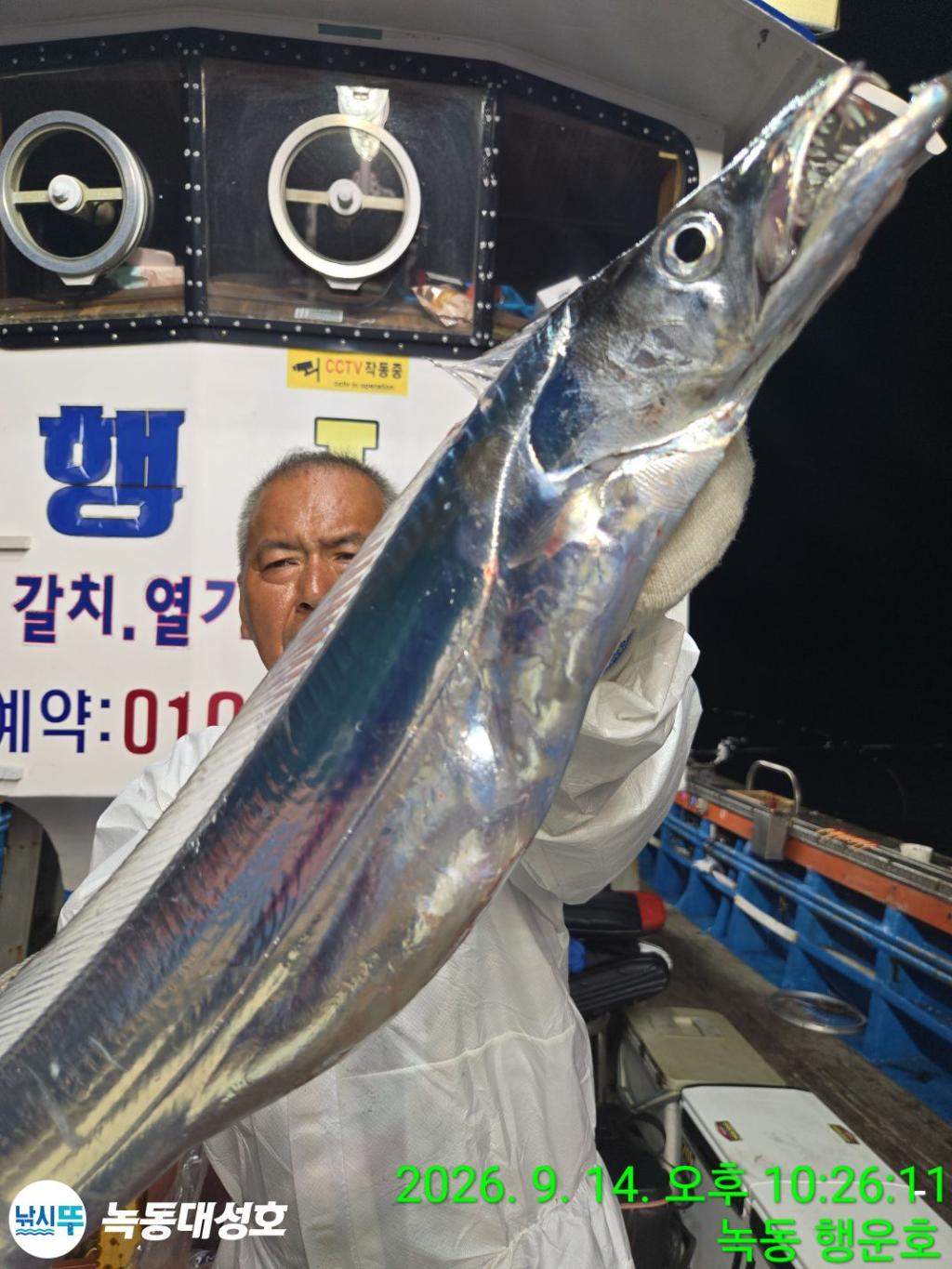 낚시뚜,갈치,녹동항,녹동대성호,낚시뚜15