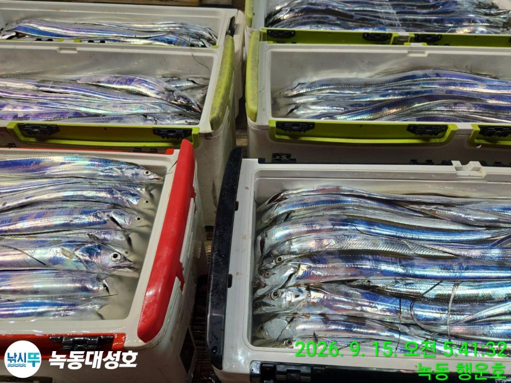 낚시뚜,갈치,녹동항,녹동대성호,낚시뚜8