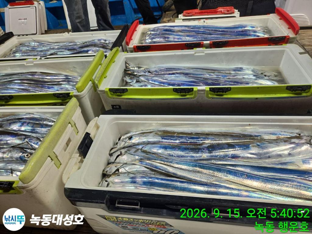 낚시뚜,갈치,녹동항,녹동대성호,낚시뚜7
