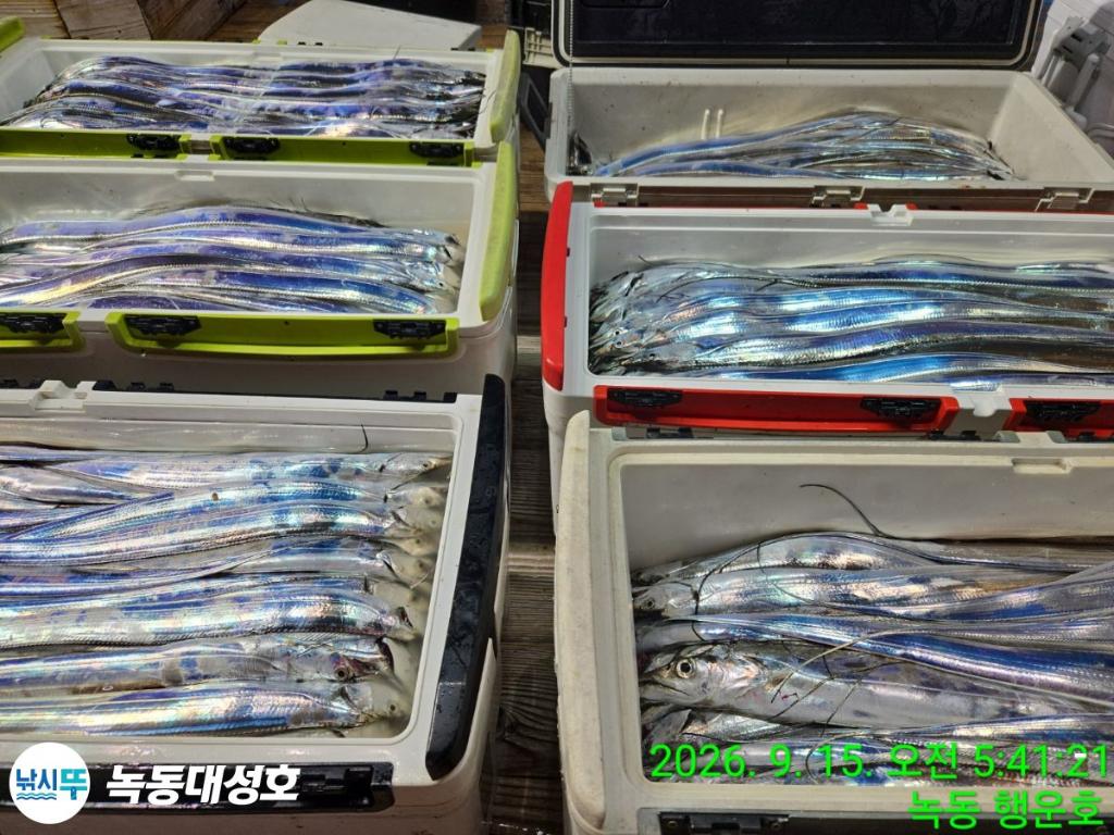 낚시뚜,갈치,녹동항,녹동대성호,낚시뚜5
