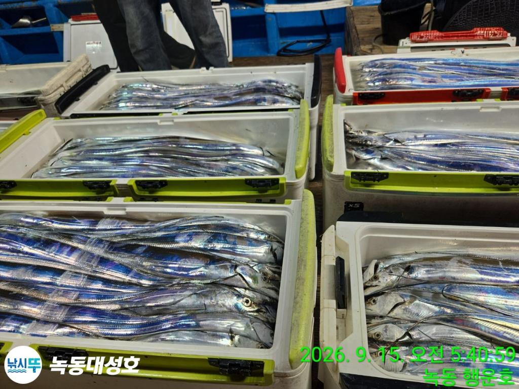 낚시뚜,갈치,녹동항,녹동대성호,낚시뚜3