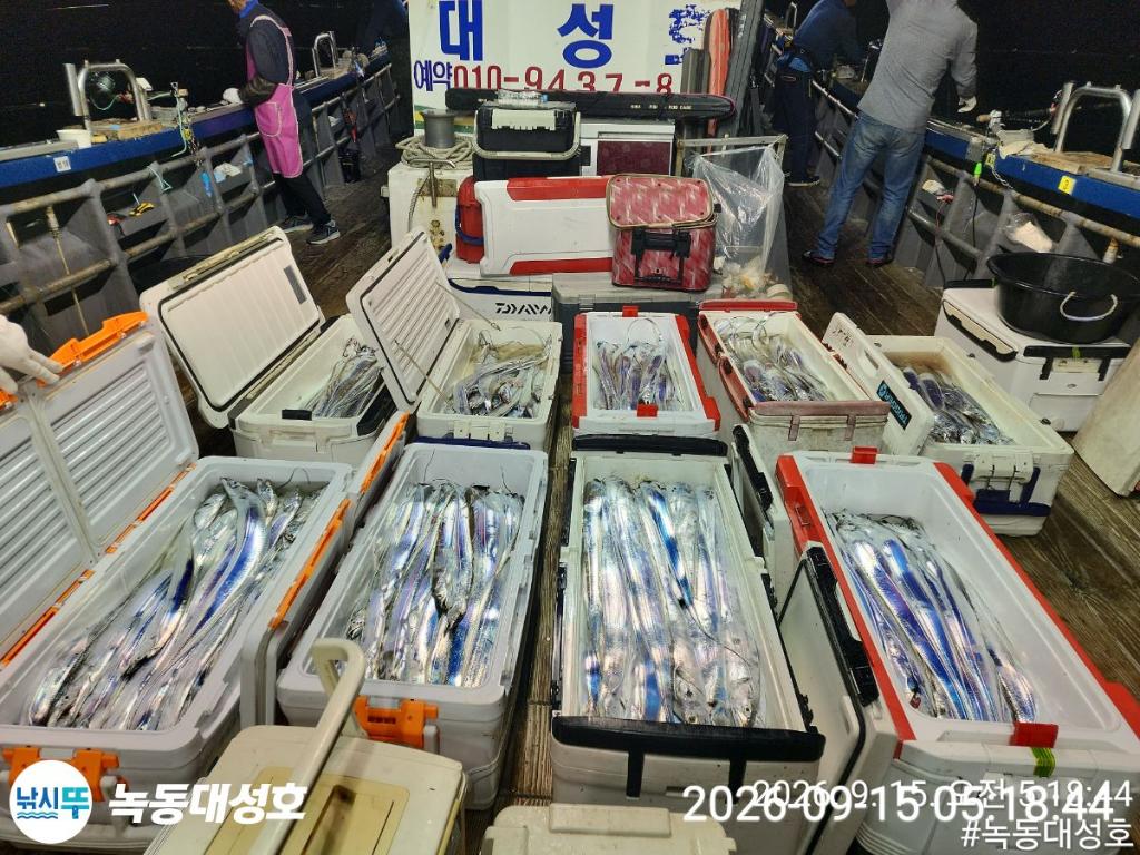 낚시뚜,갈치,녹동항,녹동대성호,낚시뚜1