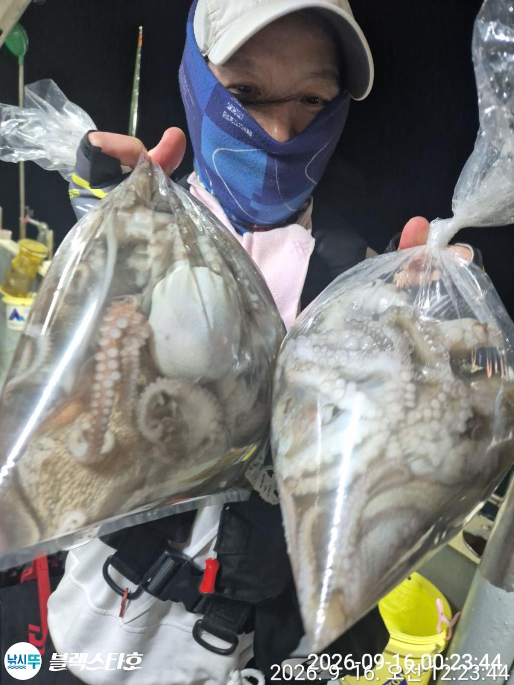 낚시뚜,돌문어,삼천포 팔포항,삼천포 블랙스타,낚시뚜17
