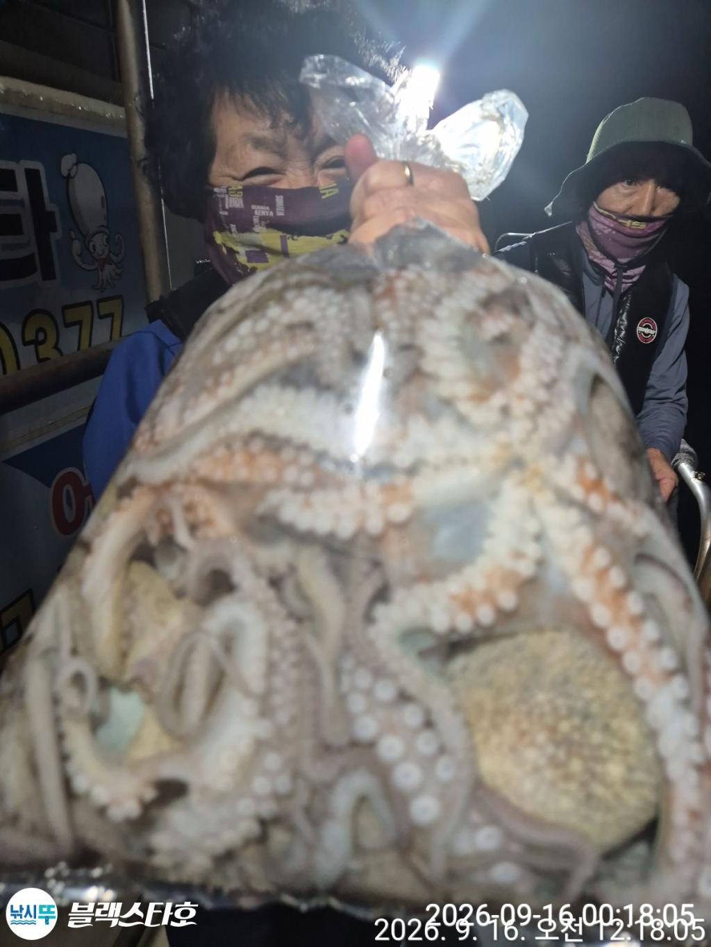낚시뚜,돌문어,삼천포 팔포항,삼천포 블랙스타,낚시뚜14