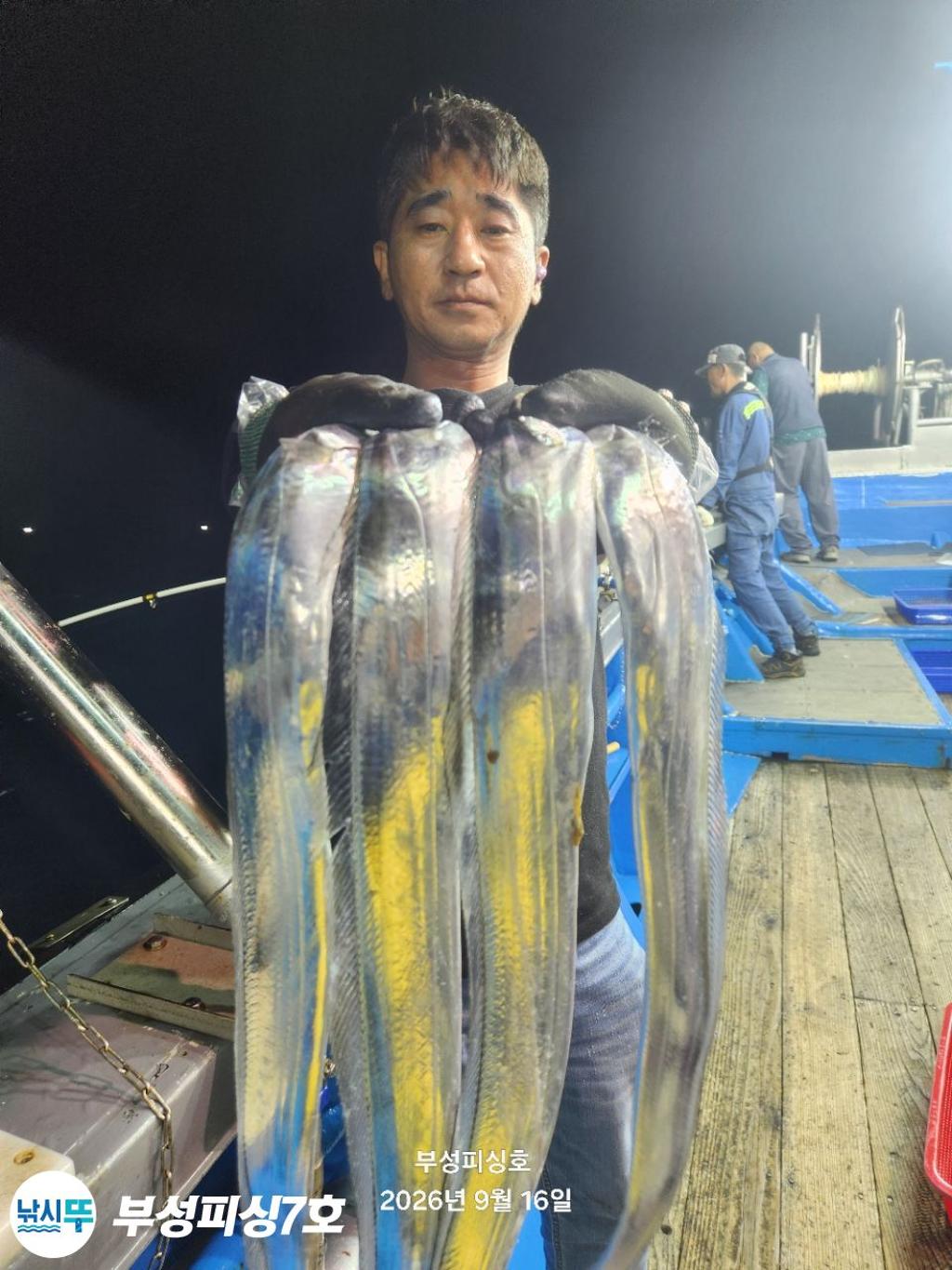 낚시뚜,갈치,통영영운리항,부성피싱7호,낚시뚜12