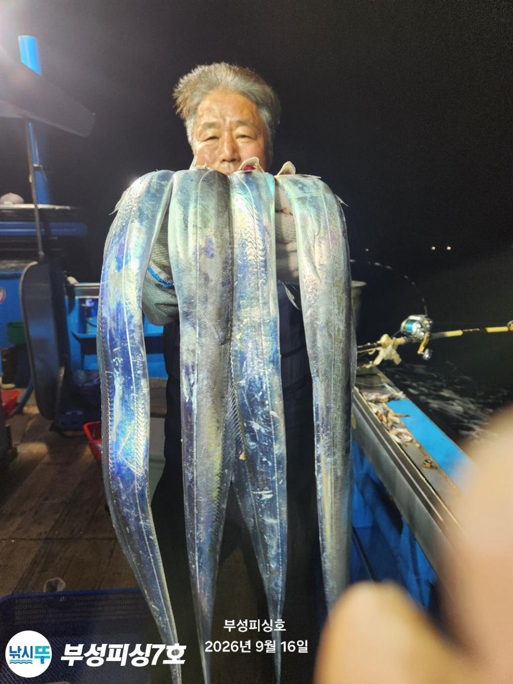 낚시뚜,갈치,통영영운리항,부성피싱7호,낚시뚜7