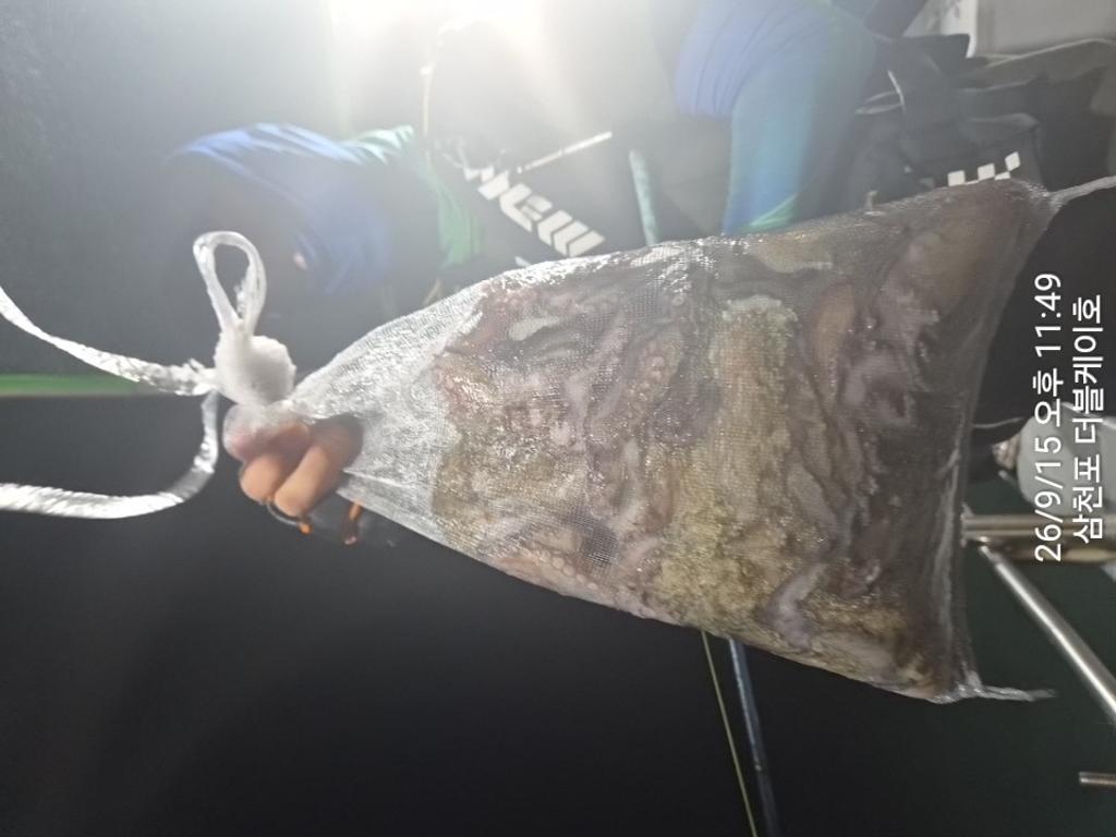 낚시뚜,돌문어,삼천포 팔포항,삼천포 더블케이호,낚시뚜27