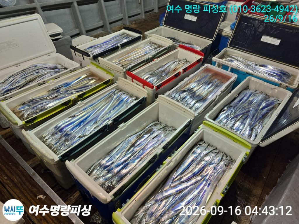 낚시뚜,갈치,국동항,여수명랑피싱,낚시뚜14